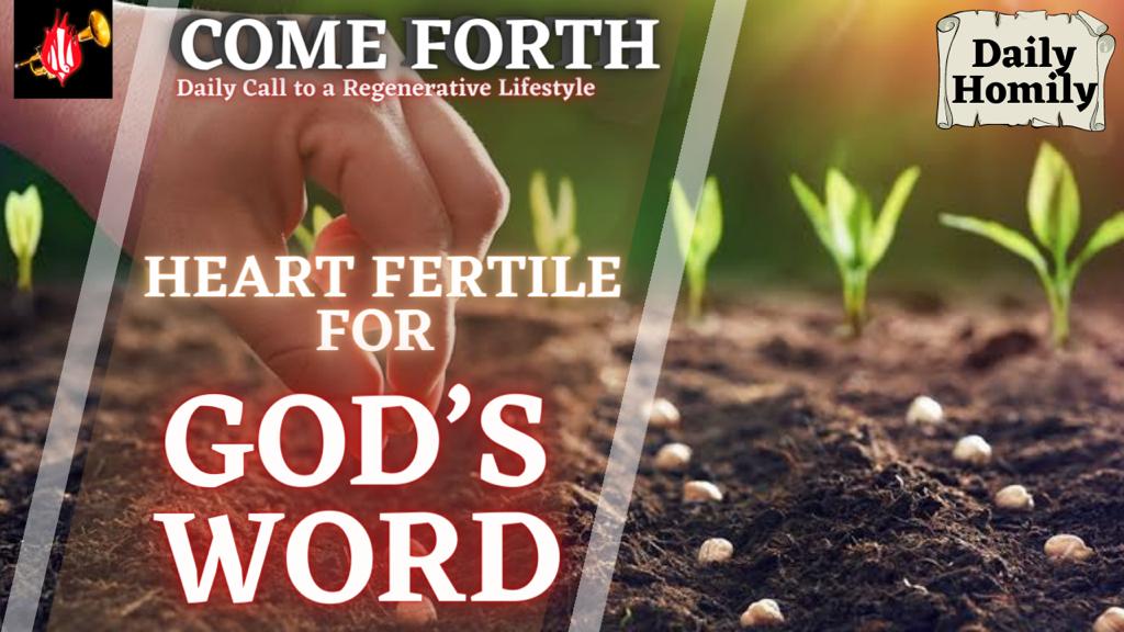 HEART FERTILE FOR GOD’S WORD, By Fr Oluwafemi Victor Orilua CSSp