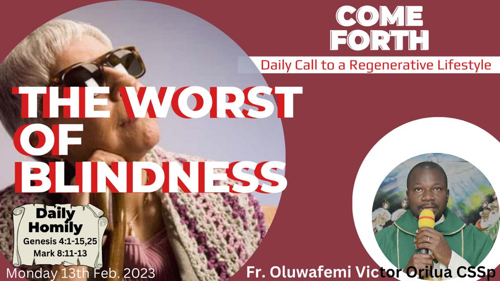 THE WORST OF BLINDNESS, By Fr Oluwafemi Victor Orilua, CSSp