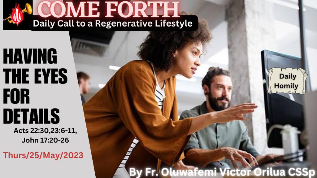 HAVING THE EYES FOR DETAILS, By Fr Oluwafemi Victor Orilua CSSp