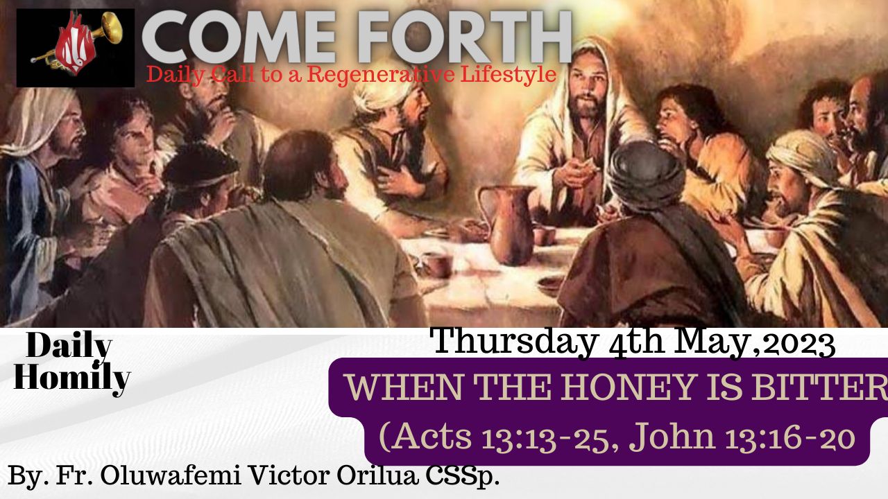 WHEN THE HONEY IS BITTER, By Fr Oluwafemi Victor Orilua CSSp