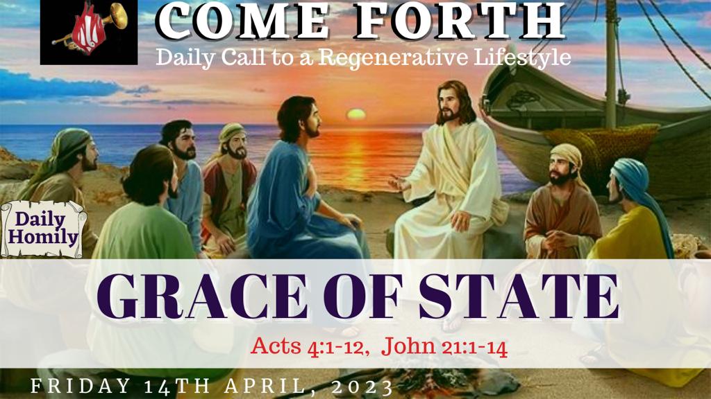 GRACE OF STATE, By Fr Oluwafemi Victor Orilua CSSp