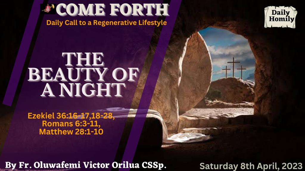 THE BEAUTY OF A NIGHT, By Fr Oluwafemi Victor Orilua CSSp