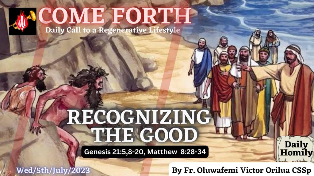 RECOGNIZING THE GOOD, By Oluwafemi Victor Orilua CSSp