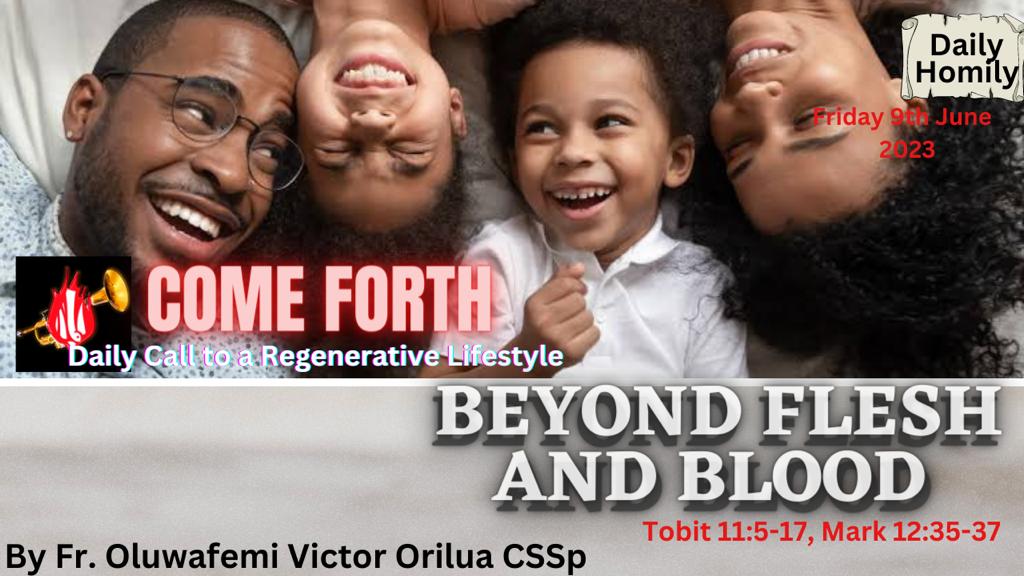 BEYOND FLESH AND BLOOD, By Fr Oluwafemi Victor Orilua CSSp