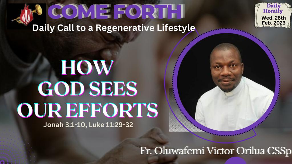 HOW GOD SEES OUR EFFORTS, By Fr Oluwafemi Victor Orilua, CSSp