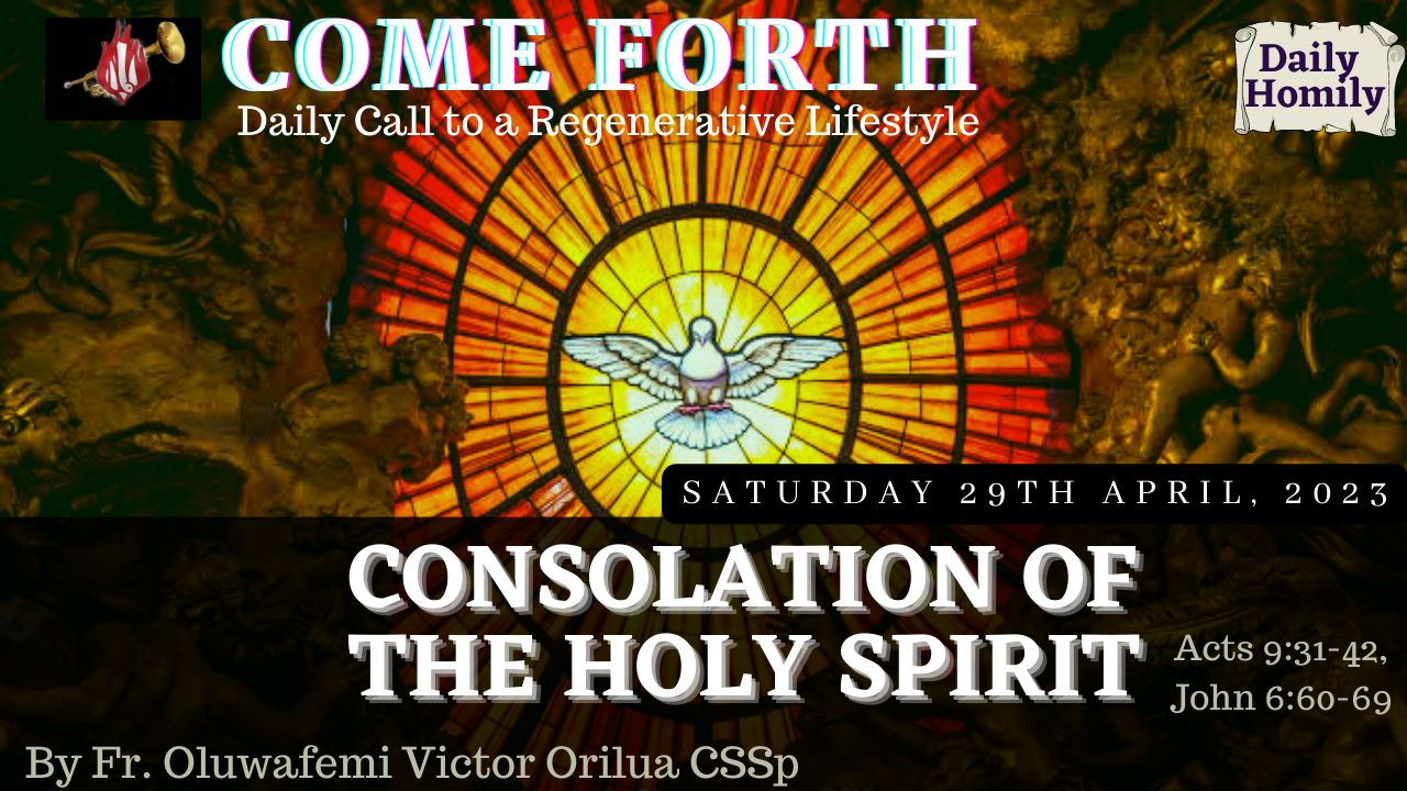 CONSOLATION OF THE HOLY SPIRIT,By Fr Oluwafemi Victor Orilua CSSp