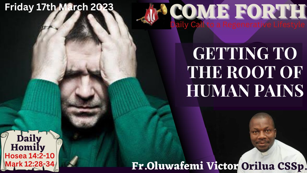 GETTING TO THE ROOT OF HUMAN PAINS, By Fr Oluwafemi Victor Orilua, CSSp