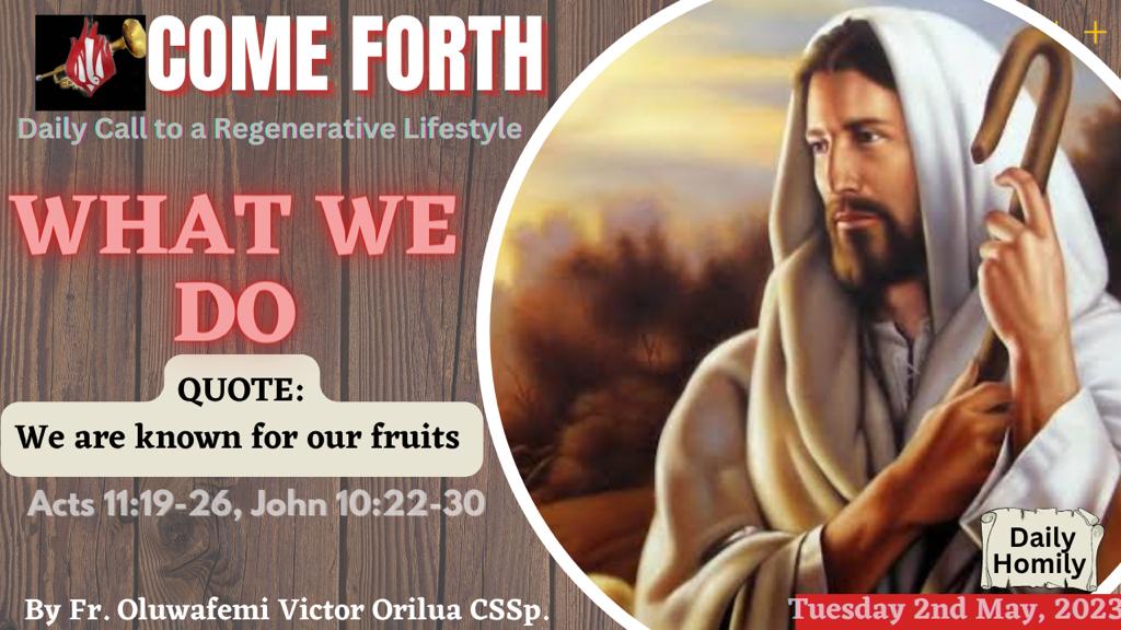 WHAT WE DO, By Fr Oluwafemi Victor Orilua CSSp