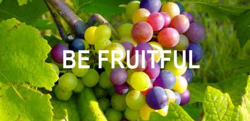 LET YOUR HEART PRODUCE RICH FRUITS BY FR EKESHIRI JUDE EMEKA CSSp.