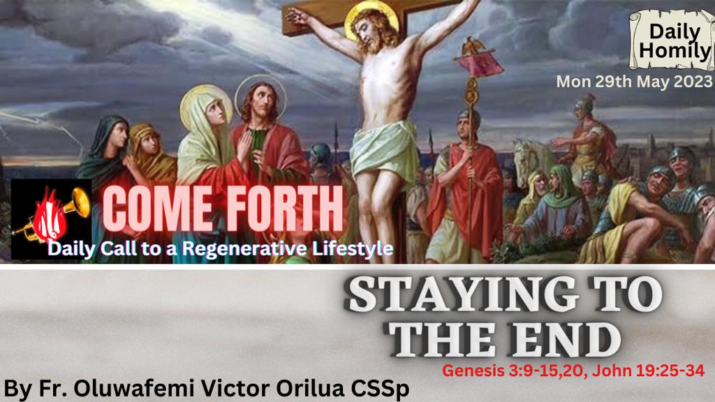 STAYING TO THE END, By Fr Oluwafemi Victor Orilua CSSp