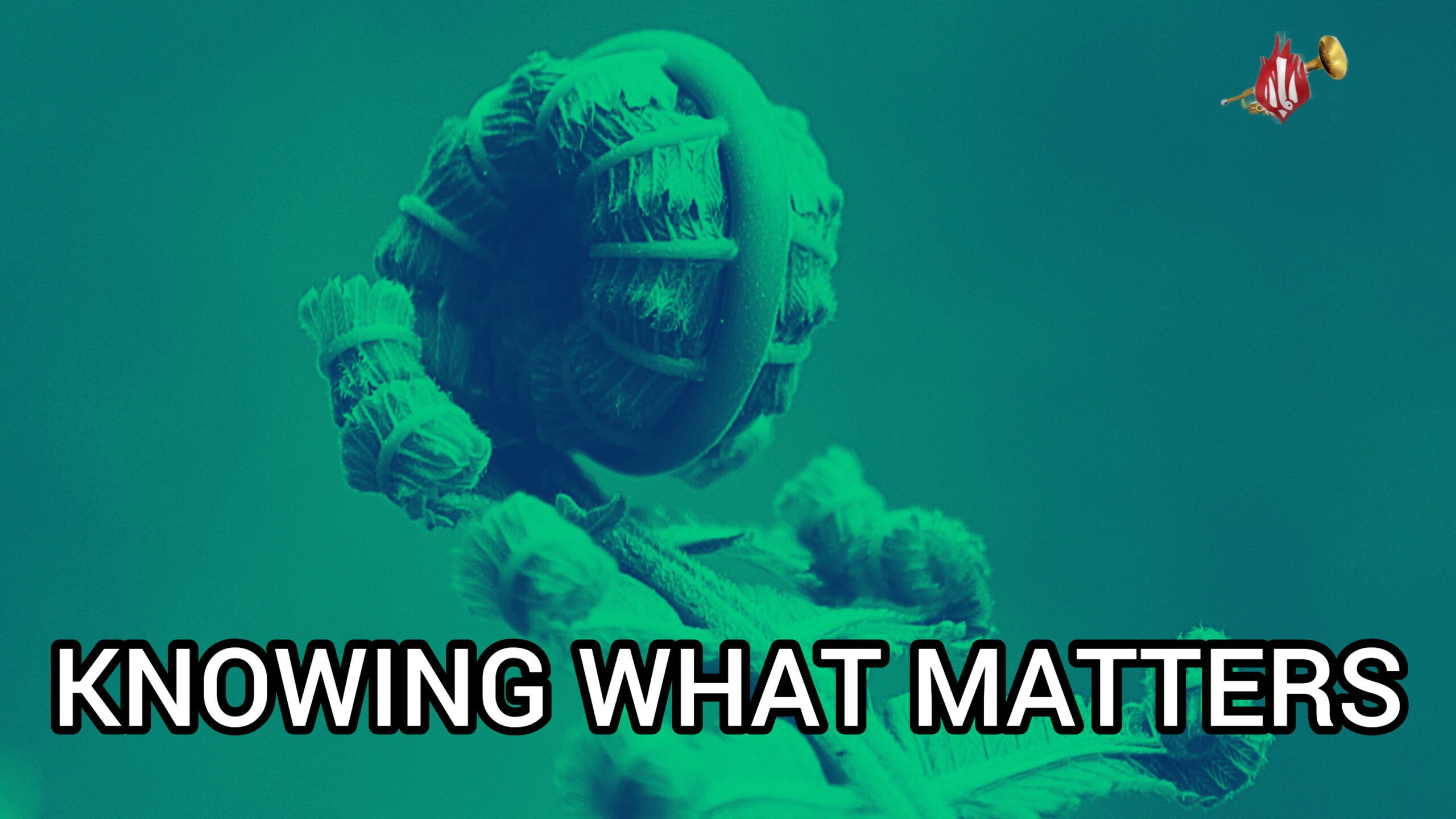 KNOWING WHAT MATTERS, By Fr Oluwafemi Victor Orilua CSSp