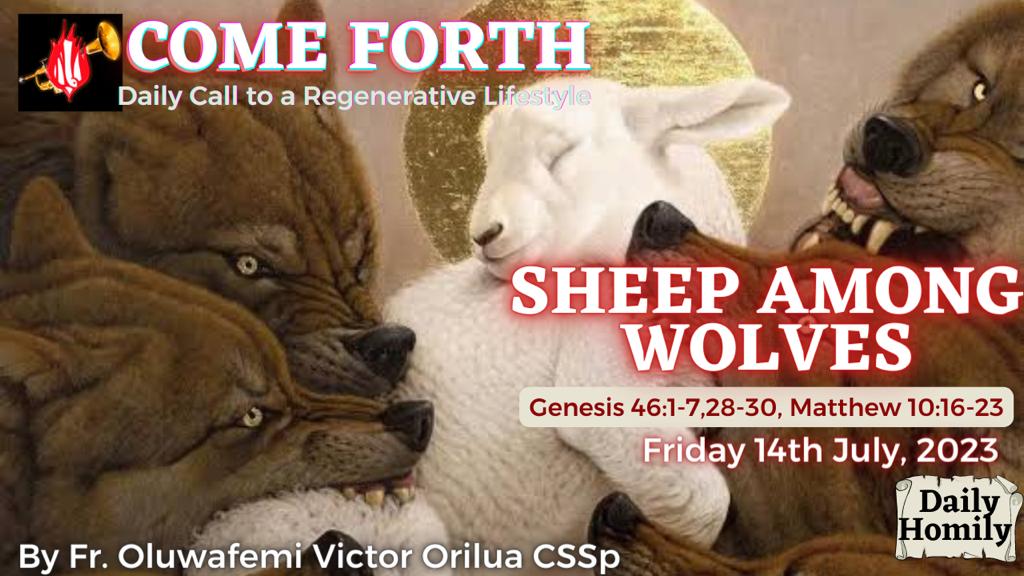 SHEEP AMONG WOLVES, By Fr Oluwafemi Victor Orilua CSSp