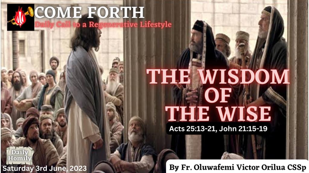 THE WISDOM OF THE WISE, Fr Oluwafemi Victor Orilua CSSp