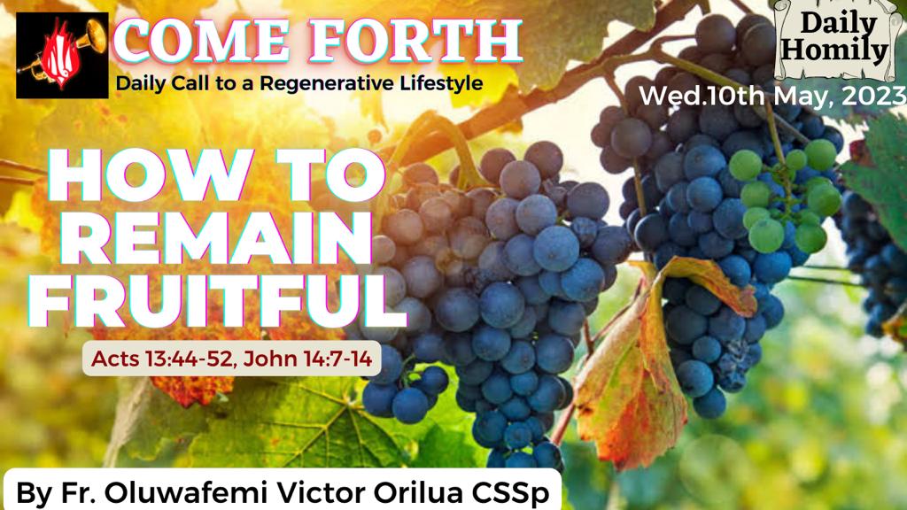HOW TO REMAIN FRUITFUL, By Fr Oluwafemi Victor Orilua CSSp