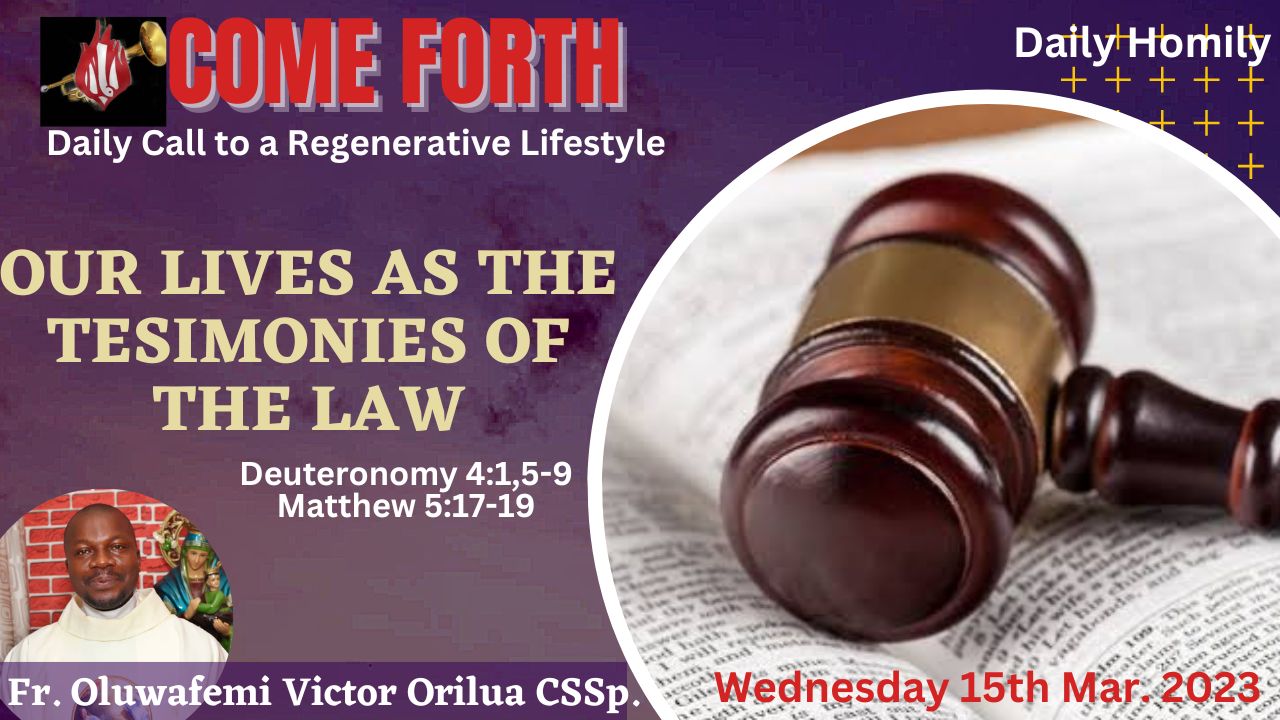 OUR LIVES AS THE TESTIMONIES OF THE LAW, By Fr Oluwafemi Victor Orilua, CSSp