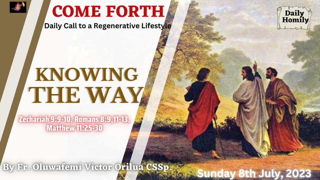 KNOWING THE WAY, By Fr Oluwafemi Victor Orilua CSSp