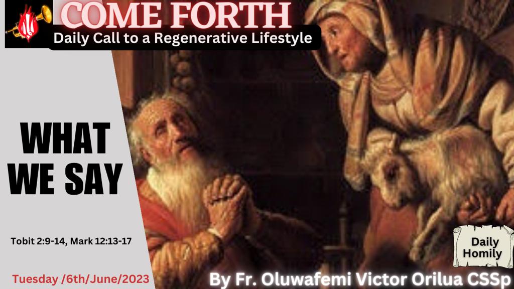 WHAT WE SAY, By Fr Oluwafemi Victor Orilua CSSp