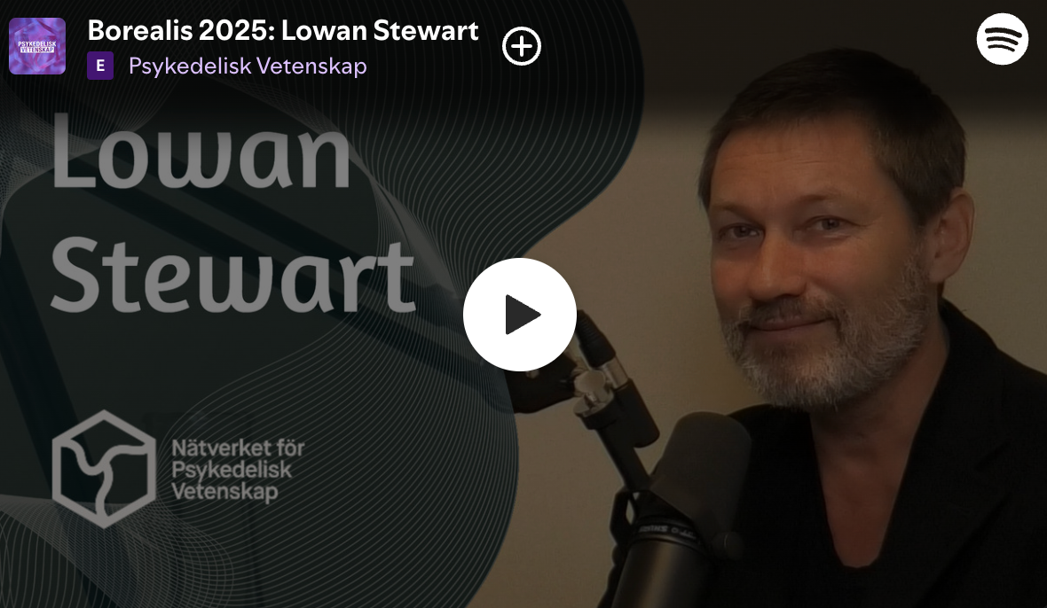 Borealis 2025: Lowan Stewart