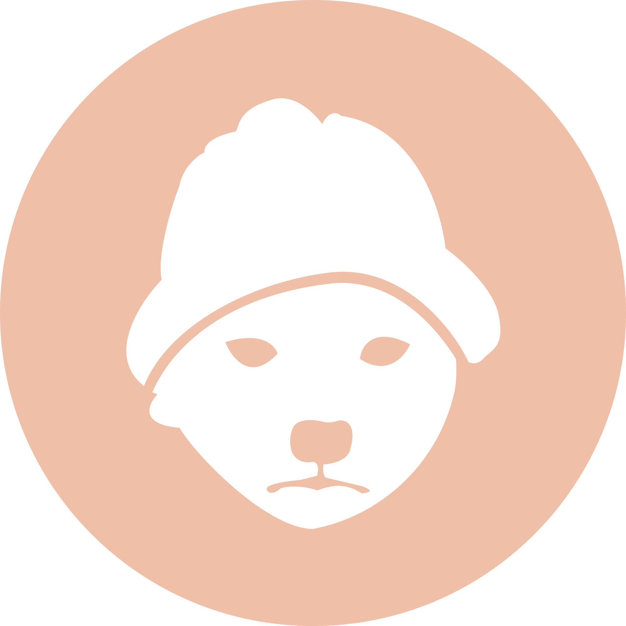 Dogwifhat