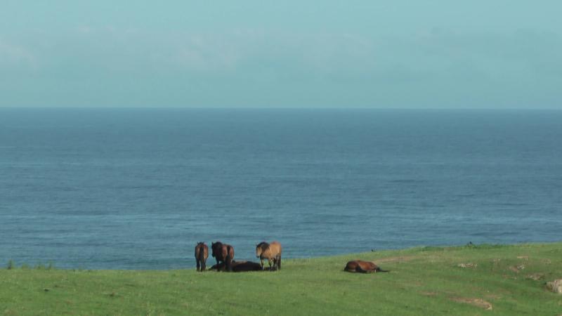 HORIZONS — photo 2