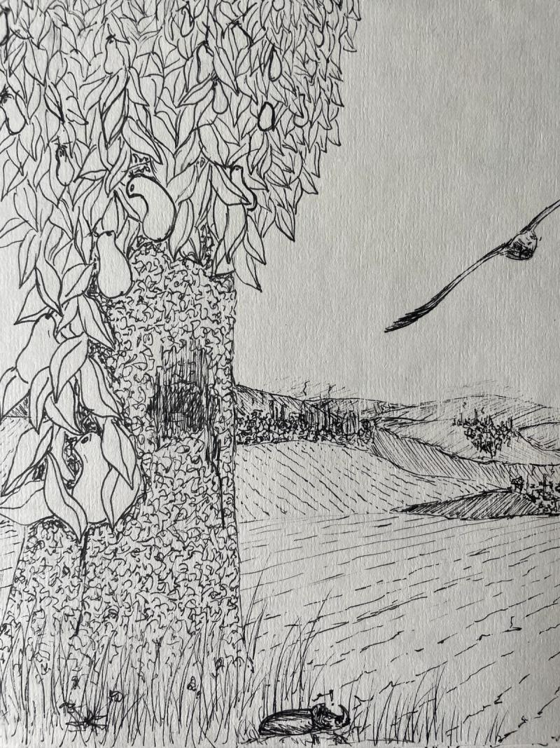Poire - 3