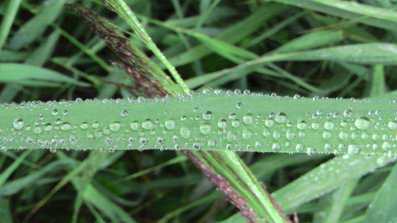 MOTIFS — photo 2