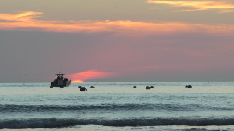 HORIZONS — photo 6
