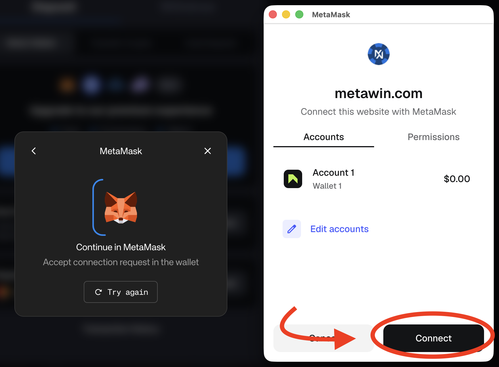 MetaMask connection approval screen for metawin.com showing the Connect button