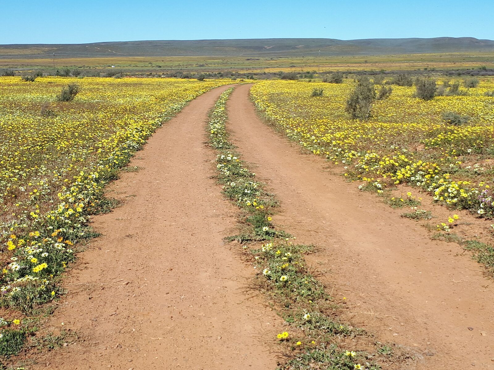 Weskus foto 11