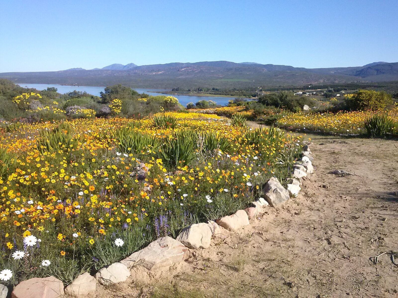 Weskus foto 3