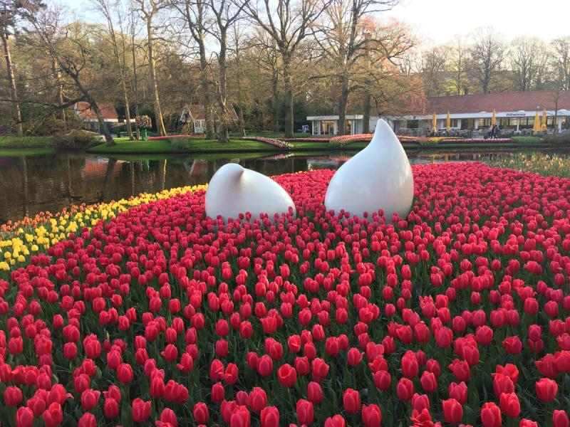keukenhof