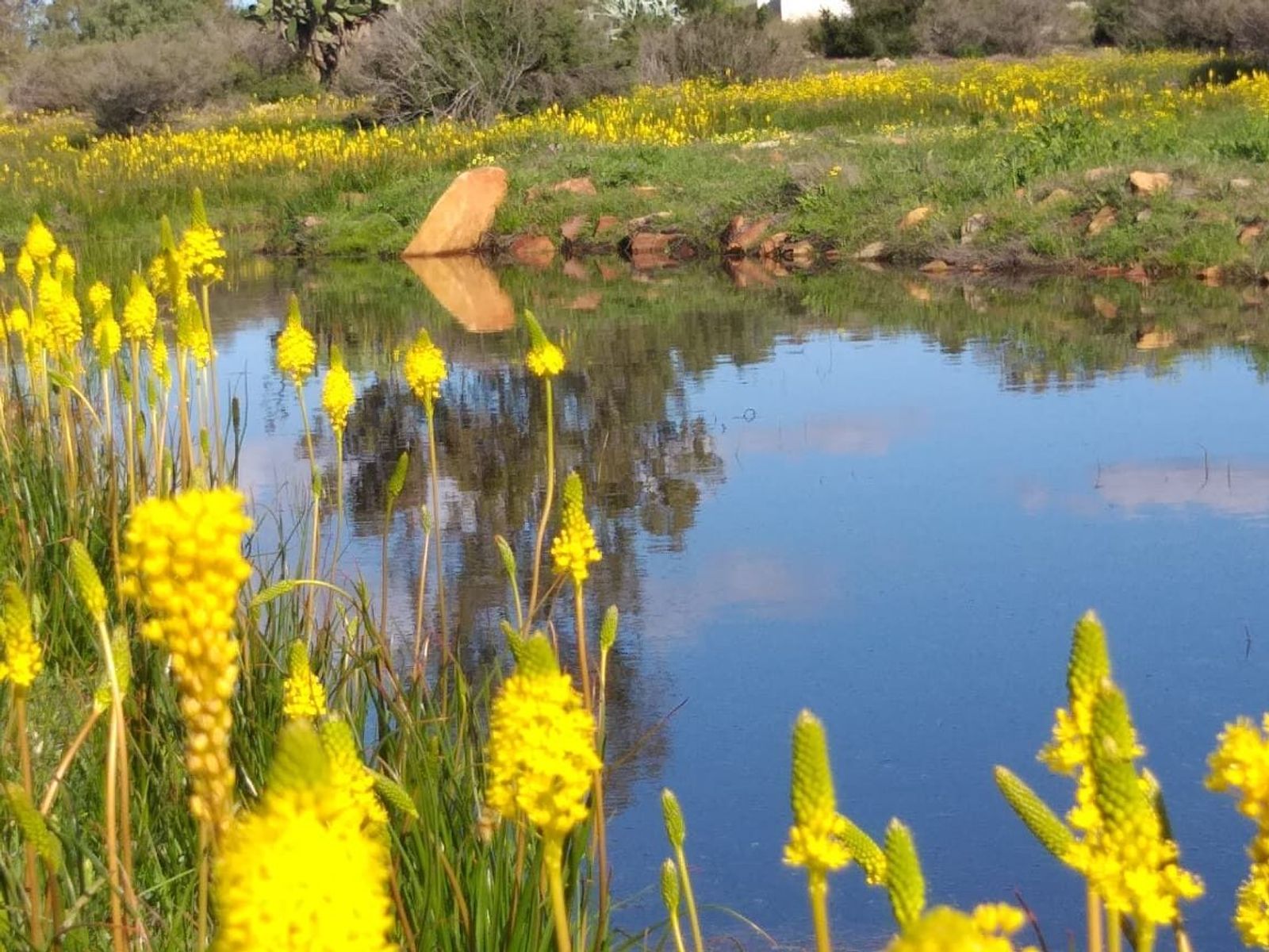 Weskus foto 27