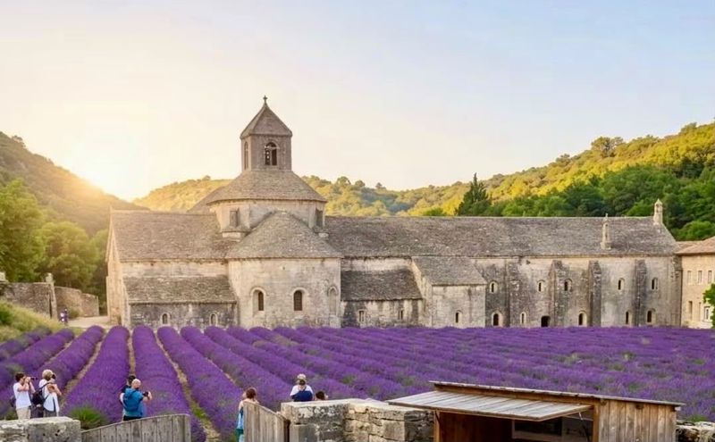 Abbaye de Sénanque, Provence, lavender fields