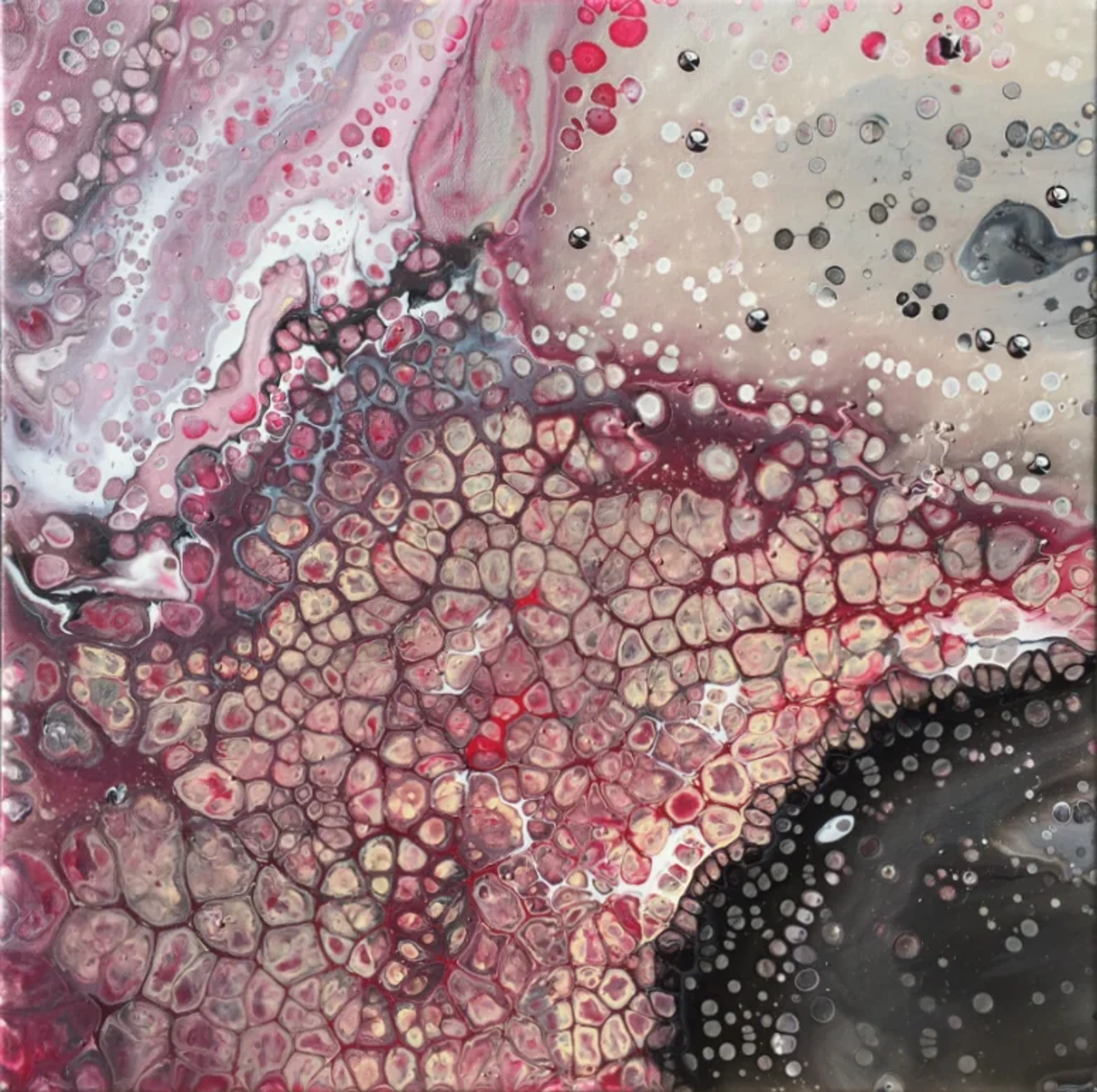 Tableau abstrait contemporain de Caroline Pons, 'Rose et noir'. L'œuvre révèle des formes cellulaires complexes et des points fluides en rose, noir et blanc, créant une ambiance organique et texturée.