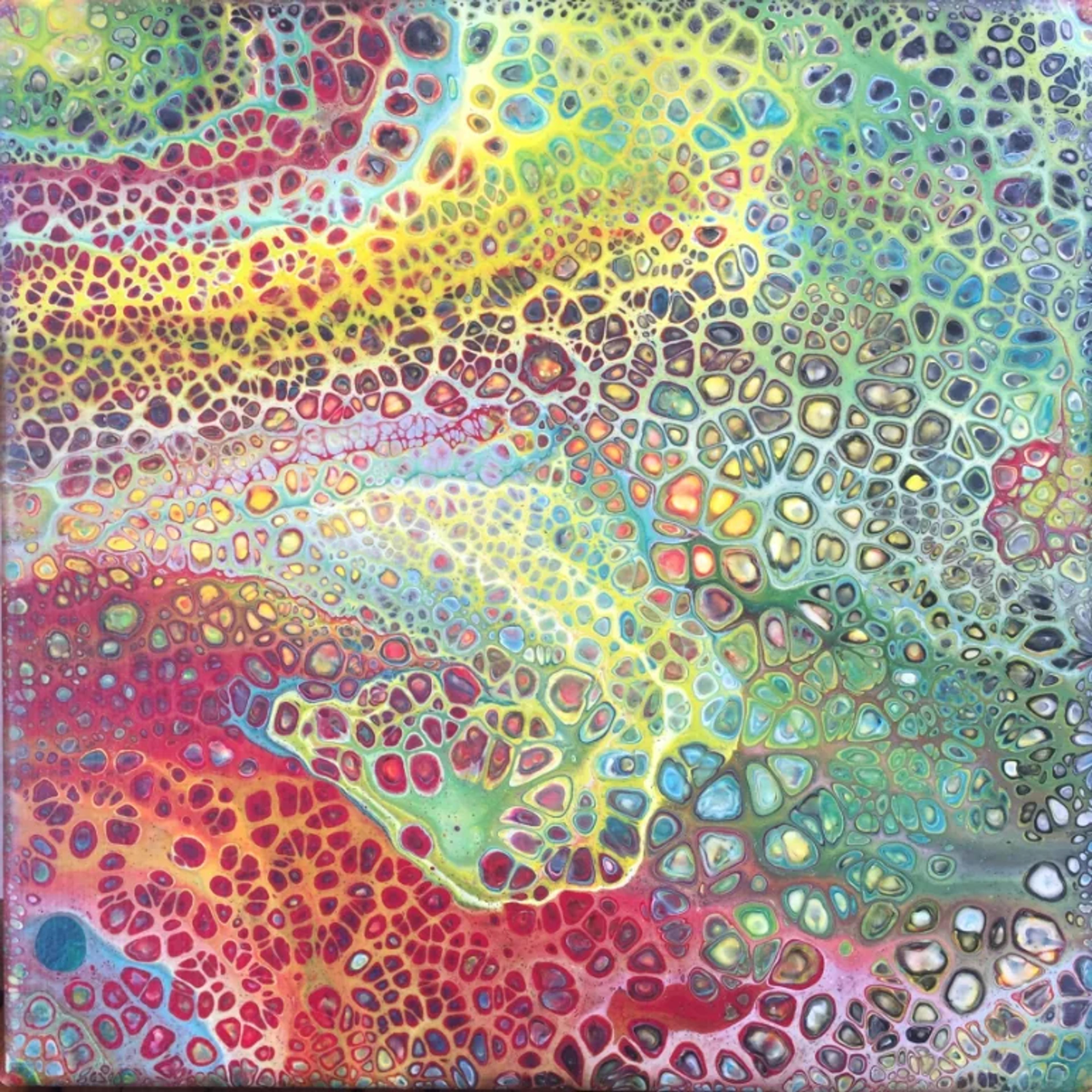 Tableau abstrait contemporain de Caroline Pons. Couleurs vives (rouges, jaunes, verts, bleus) et motifs cellulaires organiques créés par la technique de pouring.