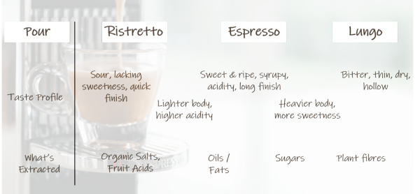 Espresso_Diagram_bc13a169-9a13-4272-b623-34735faf55f4_1024x1024.webp