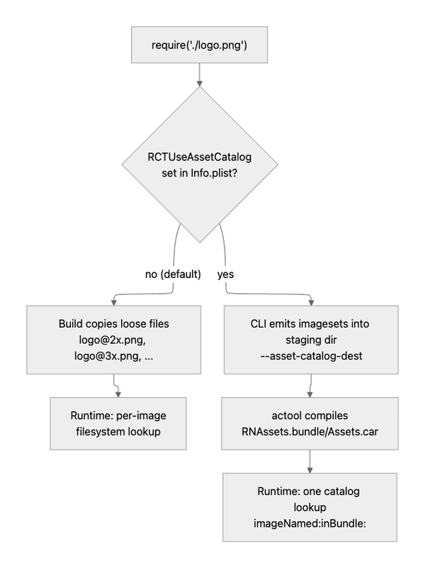 Flowchart. A require of logo.png branches on whether RCTUseAssetCatalog is set in Info.plist. Without the key, the build copies loose files and the runtime does a per-image filesystem lookup. With the key, the CLI emits imagesets into a staging directory, actool compiles RNAssets.bundle and Assets.car, and the runtime does one catalog lookup with imageNamed:inBundle:.