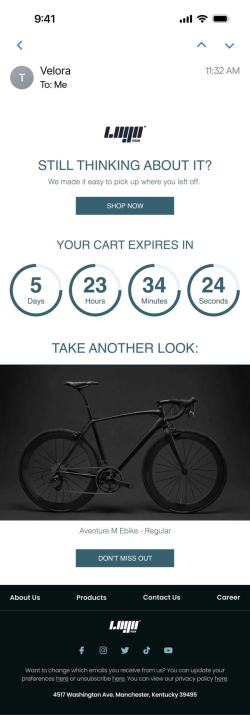 Mobile email preview of an abandoned-cart reminder with a Sendtric countdown timer showing time left before the cart expires, alongside the abandoned product