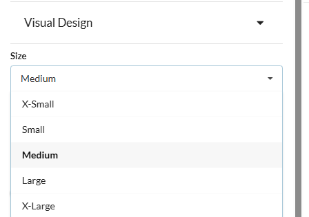 The timer size setting in the countdown timer editor