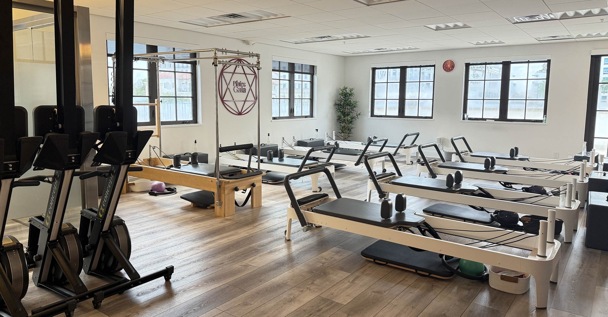 Rows of reformers beneath large windows in the Pilates Gaia studio in Coral Gables.