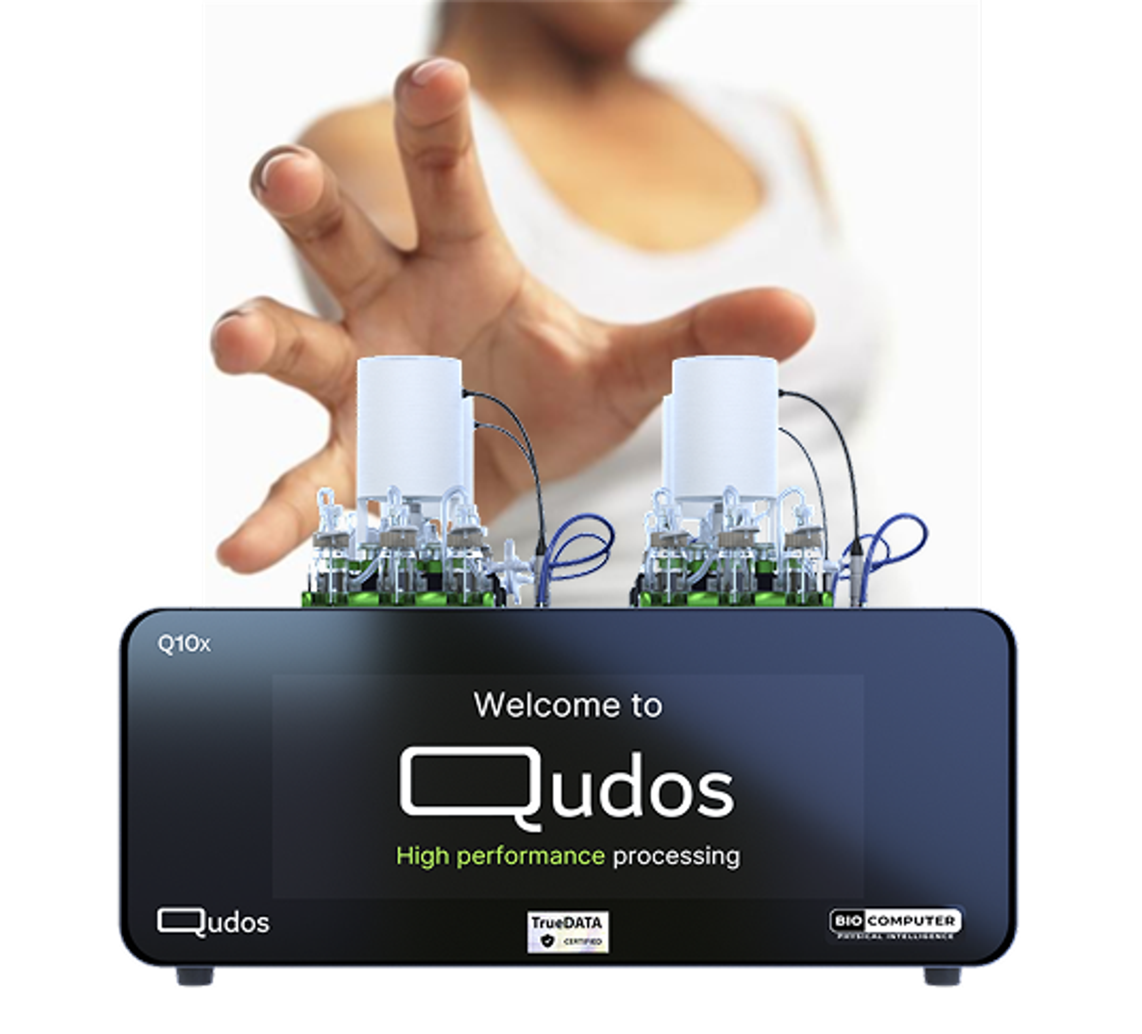 Qudos image