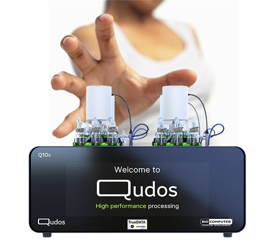 Qudos image