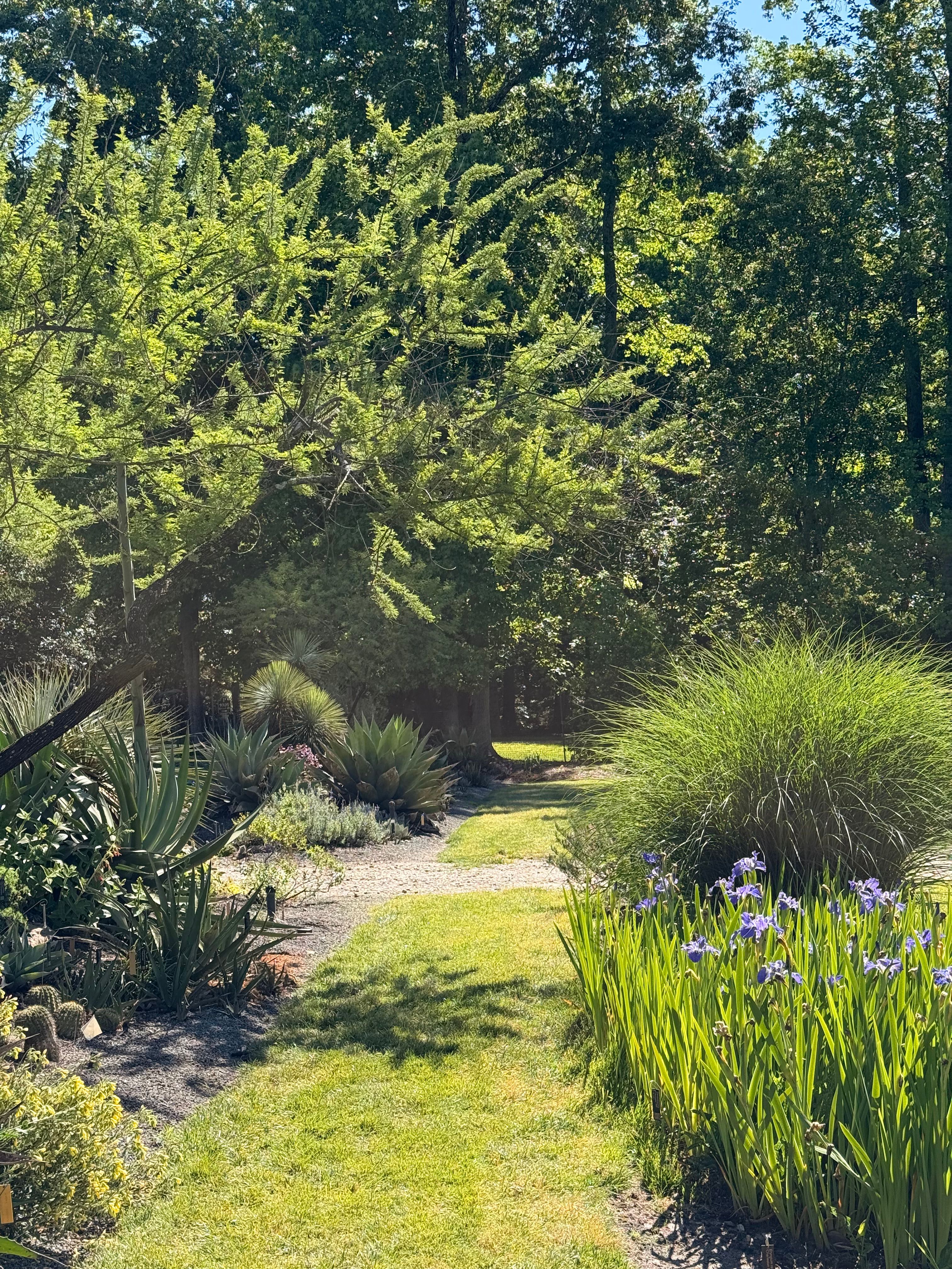 A garden bed designed with intentional layers, color, repetition, and seasonal structure