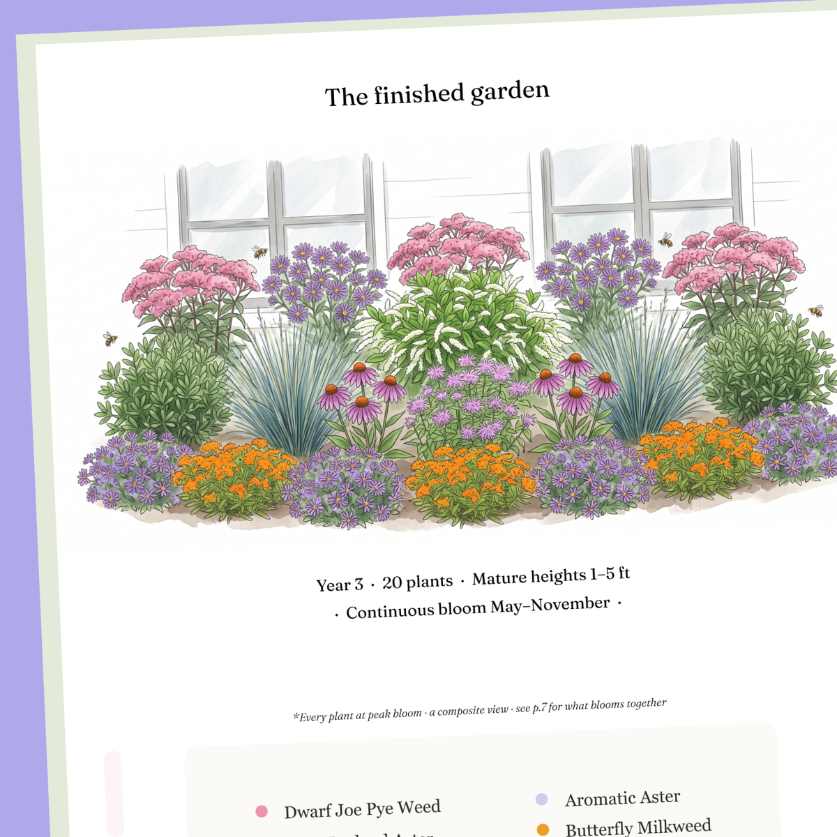 Preview of A complete printable planting plan for a 10×6 ft native pollinator border in North Carolina