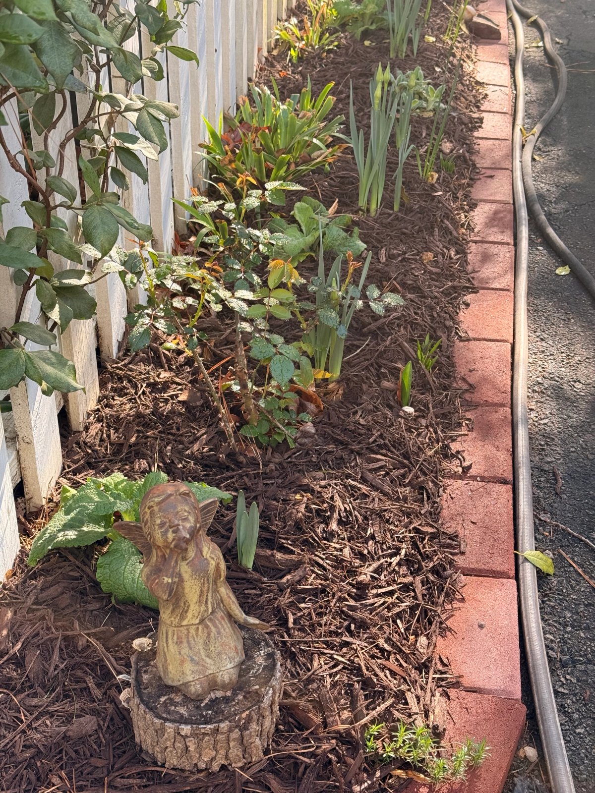Hardwood brown mulch