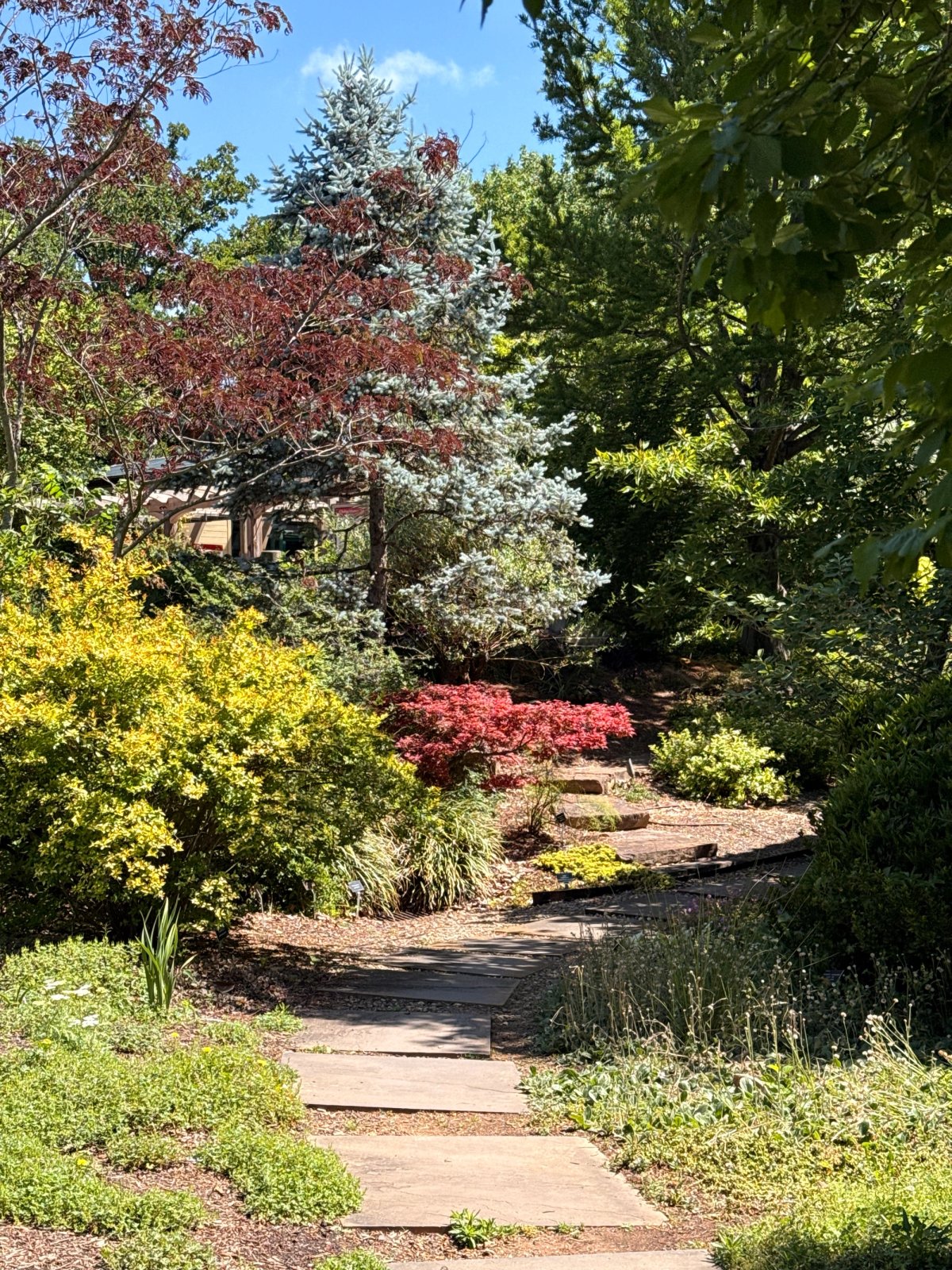 Garden structure with tall objects on the back