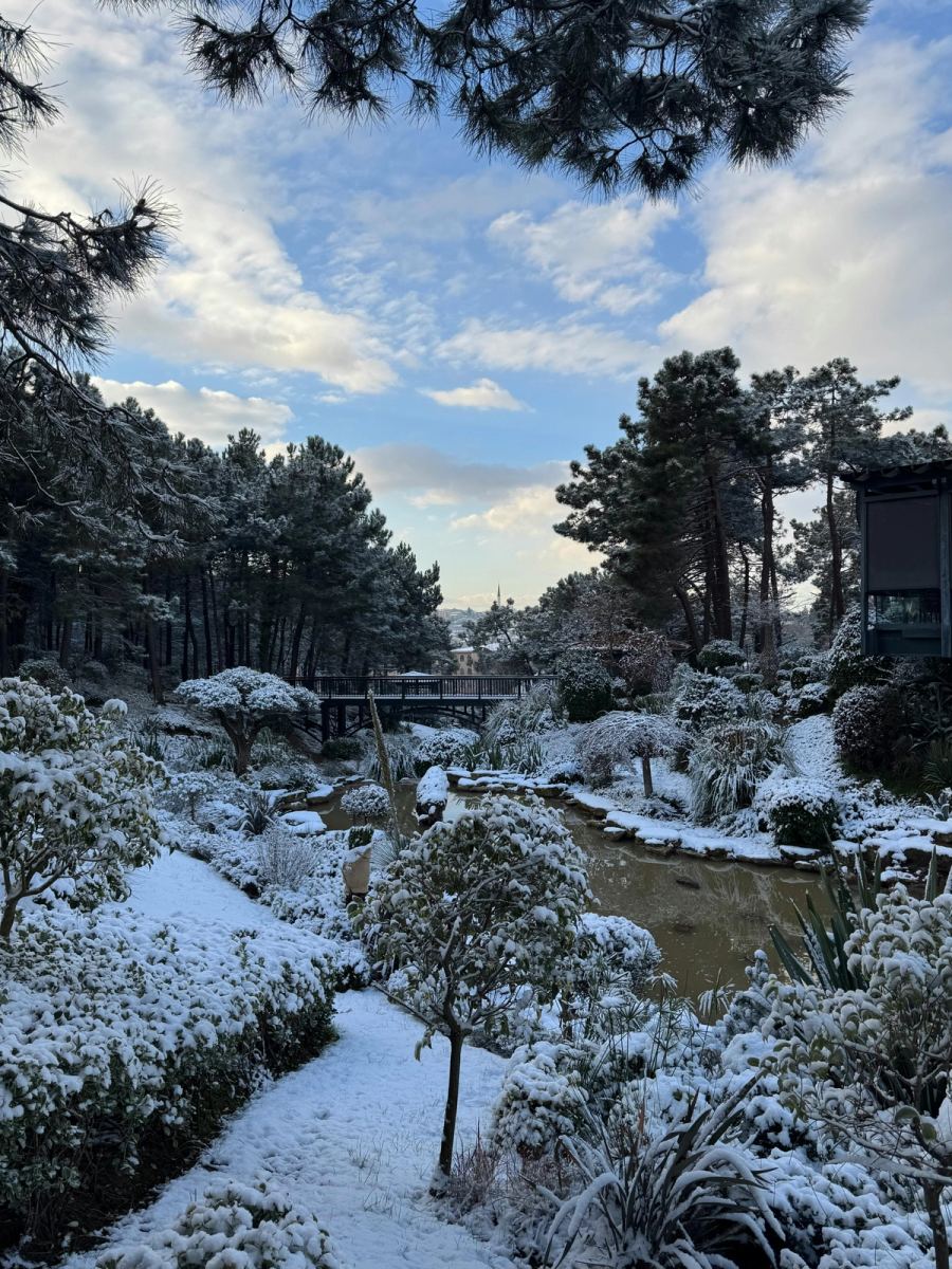 winter garden structure