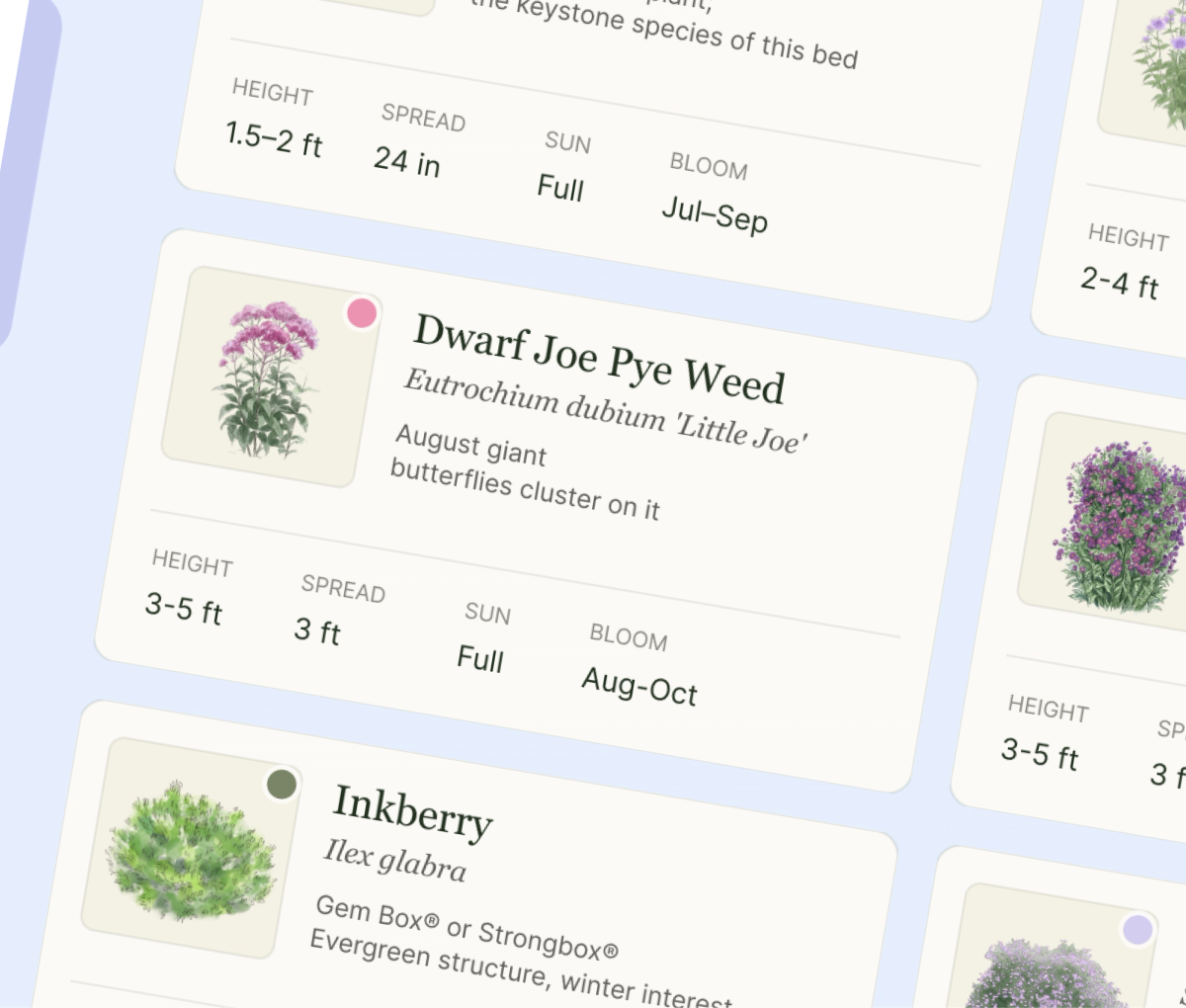 Preview spread 1 from A complete printable planting plan for a 10×6 ft native pollinator border in North Carolina