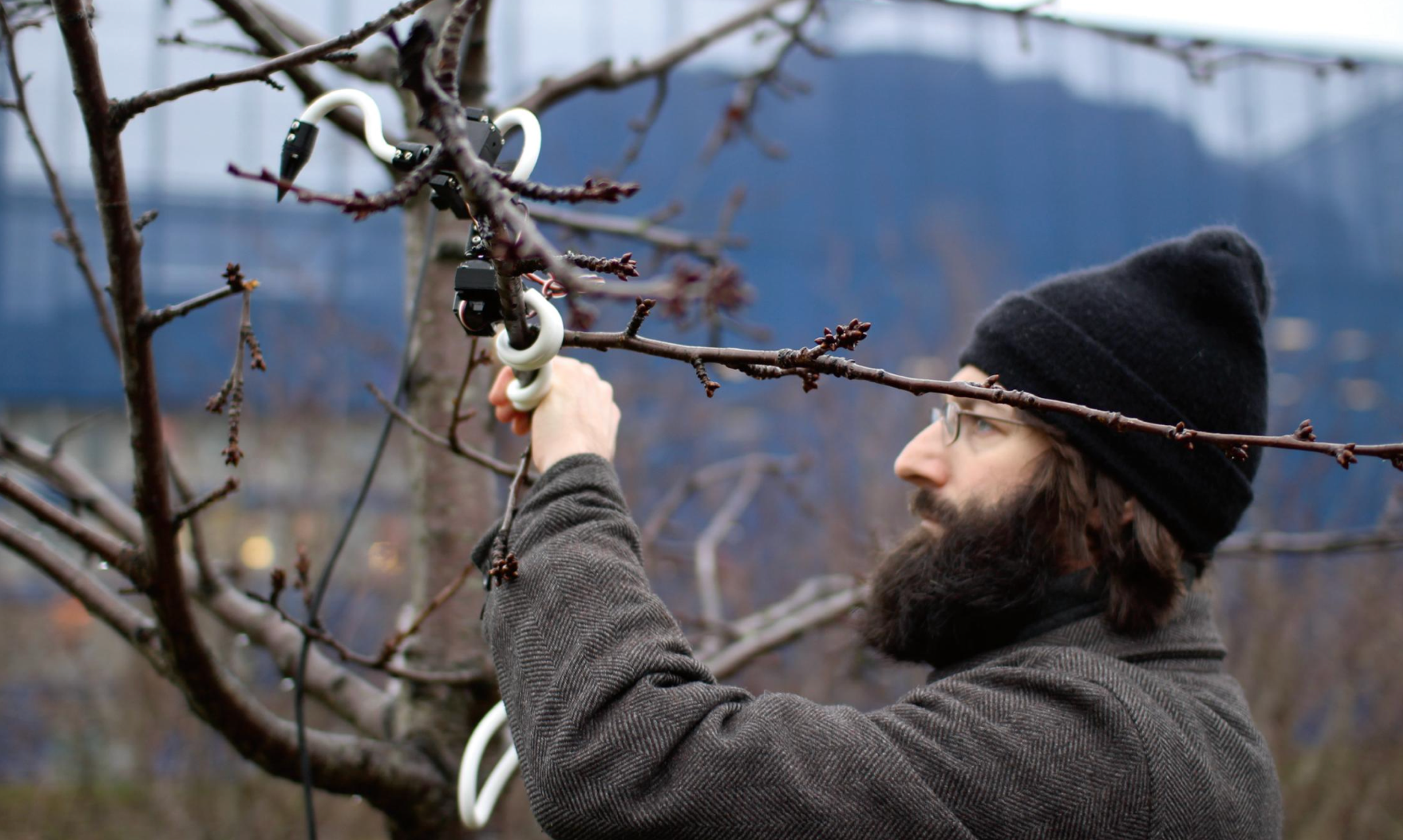 man attaching things to tree