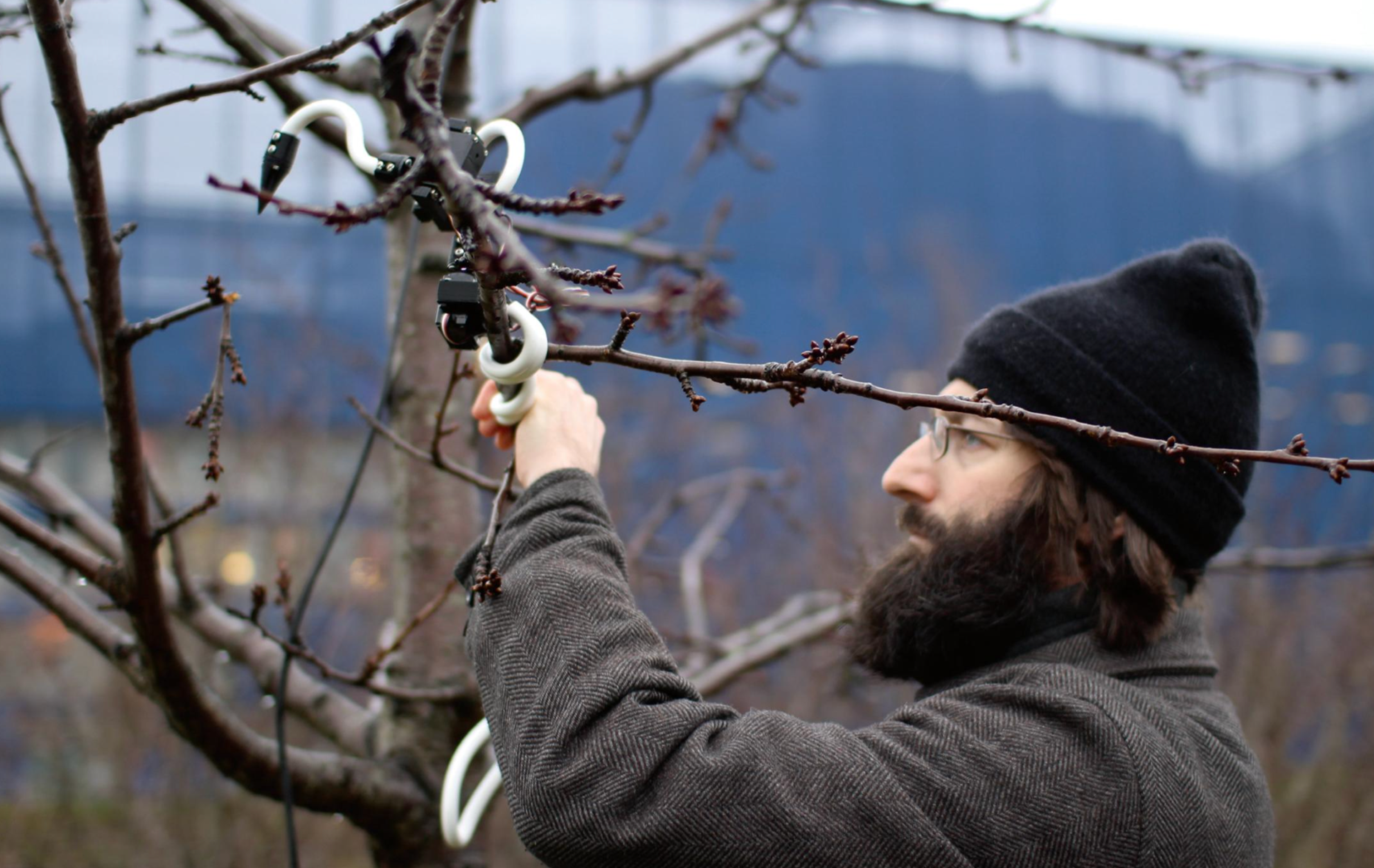 man attaching things to tree